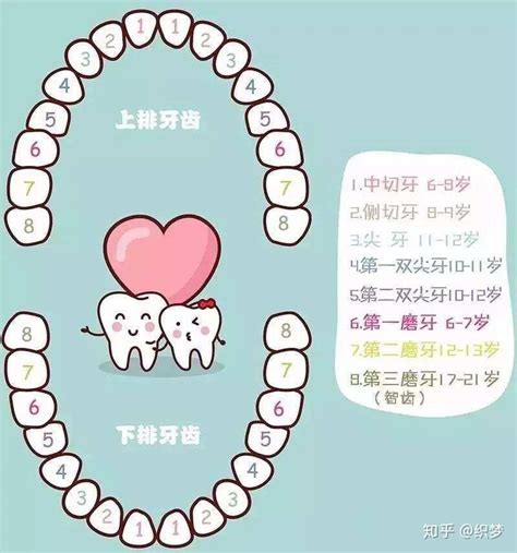 小朋友出大牙|儿童换牙，爸妈应该知道的九件事